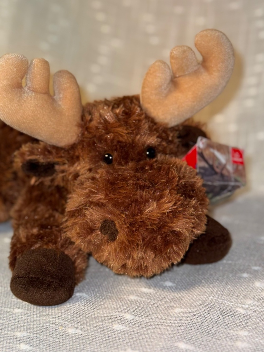 Aurora MOOSE plush